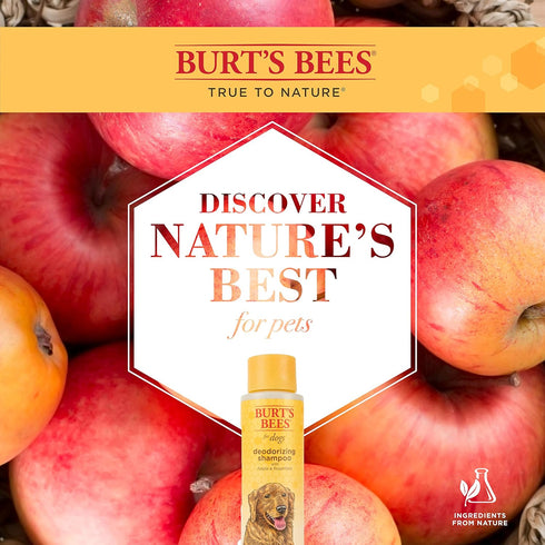 Burt's Bees for Pets Deodorizing Dog Shampoo with Apple & Rosemary - 16 Oz, 2 Pack, Cruelty Free, Sulfate & Paraben Free