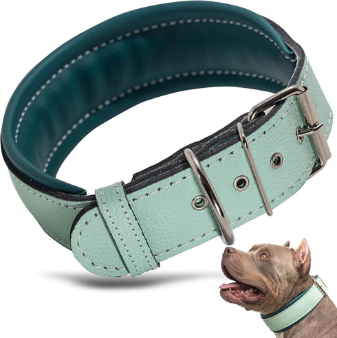 Leather Dog Collar, Large Padded Heavy Duty Collar with Dog Tag Holder, Green (Large, 2 inches wide soft padding)