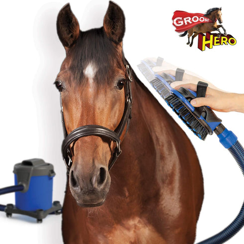 Vacuum Brush Kit for Horse Grooming, Cleaning Furniture, Carpets, and Auto Interiors for All Pets