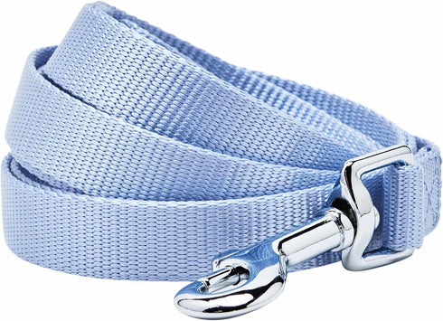 Blueberry Pet Essentials Chambray Blue Dog Leash for Small Dogs, Heavy Duty Nylon Lead, Lightweight Puppy & Cat Leash
