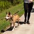 Leashboss Pattern Bungee Dog Leash Extension, 18" Shock Absorbing Lead Extender, Pattern Collection (Black Reflective)