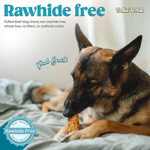 Fieldcrest Farms 35lbs, 2 Packs (16 Nothin to Hide Flip Chips Dog Chews - Natural Rawhide Alternative Treats for Dogs