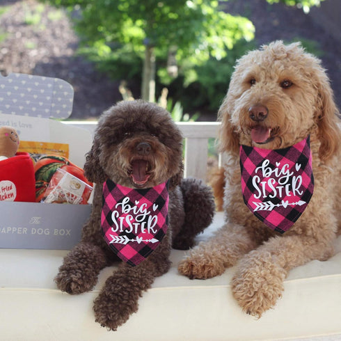 STMK Big Sister Plaid Dog Bandana, Pregnancy Announcement Plaid Scarf, Gender Reveal Photo Prop, Pet Scarves (Pink)