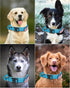 Reflective Tactical Dog Collar with Handle, Heavy Duty Military Collar with Metal Buckle for Medium and Large Dogs
