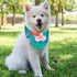 Weewooday 8 Pieces Dog Bandanas, Summer Flower Print Triangle Bibs Floral Puppy Scarf Accessories for Dogs Cats