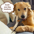 IOKHEIRA Indestructible Dog Plush Toys for Aggressive Chewers, Durable Squeaky Chew Toys for Medium Large Breed (Honey