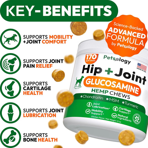 170 Hemp Hip and Joint Supplement for Dogs - Glucosamine for Dogs - Mobility Support Chews - Advanced Joint Pain Relief