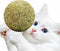 happylain 2 inches Diameter Catnip Ball - Catnip Balls for Cats, Interactive Cat