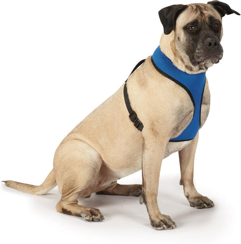 Mesh Dog Harness, X-Large, Blue