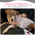 Tooth & Honey Big Dog Stripe Shirt – Pullover with Full Belly Coverage – Pink and Grey Shirt for Extra Large Dogs