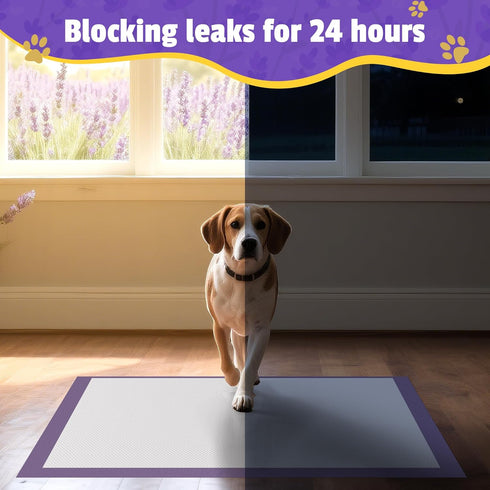 30"x36" 30Counts Lavender Scented Super Absorbent & Leak-Proof Puppy Pads, Odor Control Pet Training Dog Pee Pads