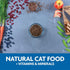 Evolve Grain Free Deboned Chicken, Pea and Vegetable Recipe Cat Food, 11 lb
