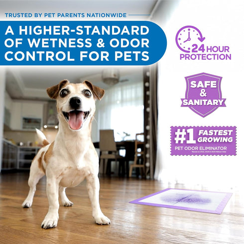 50 Count 59oz, 24x24 Inch POOPH Potty Pads Superior Absorbency & Odor Control Absorbs Leak-Proof, Track-Proof