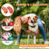 Tough Dog Toys for Large Breed Aggressive Chewers, Durable Indestructible Chew Toy, Hot Dog Dog Toy