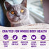 Wellness Natural Pet Food Complete Health Grain Free Deboned Chicken & Chicken Meal Dry Kitten Food, 5.5 lb Bag