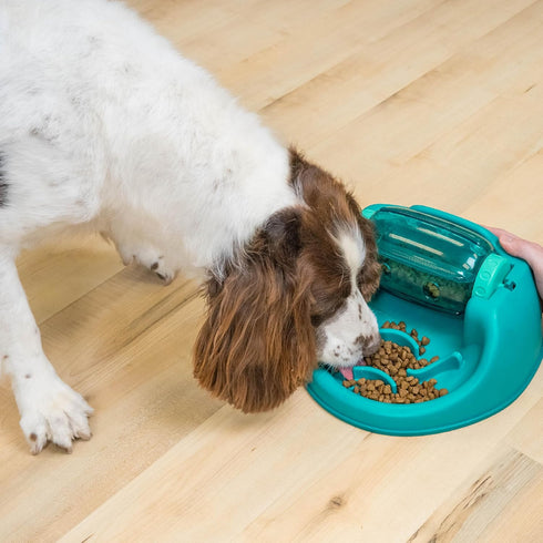 2 Outward Hound by Nina Ottosson Spin N' Eat Dog Puzzle and Slow Feeder, Level Intermediate Enrichment Toy, Green