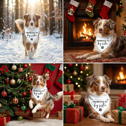 Promoted to Big Sister Dog Bandana Baby Announcement Dogs Bandanas White Pregnancy Announcement Big Brother Bandana