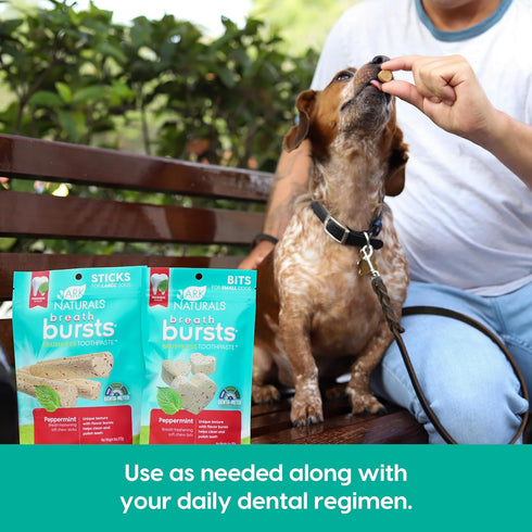 ARK NATURALS Breath Bursts, Brushless Toothpaste Dog Treats, Peppermint, 4 oz, 1 Pack for Small Breeds