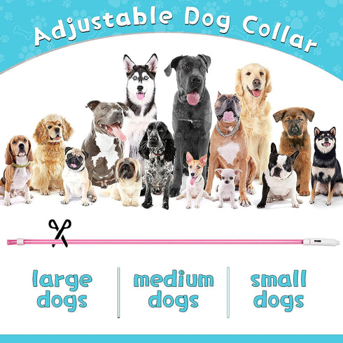 Frienda 4 Pieces Light Up Dog Collars, USB Rechargeable LED Collars for Night Walking, Adjustable for Small to Large