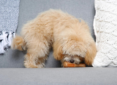 Hartz Chew ‘n Clean Chew Toy - Chicken Flavored Drumstick Dog Toy, Extra Small