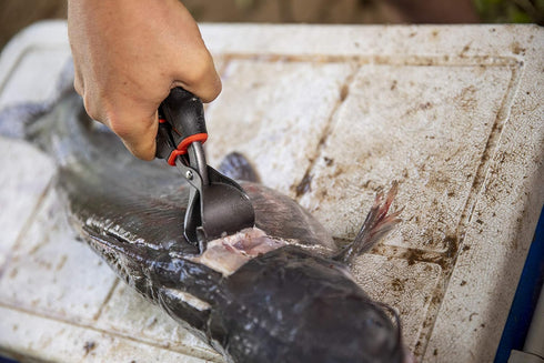 Ugly Stik Fishing Tools