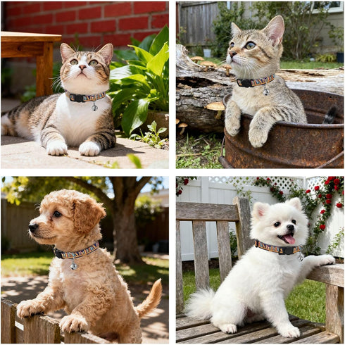 Qilmy 2-Pack Books Shelf Adjustable Pet Collar with Bell, Soft Dog Collar with Quick Release Buckle for Cats Small