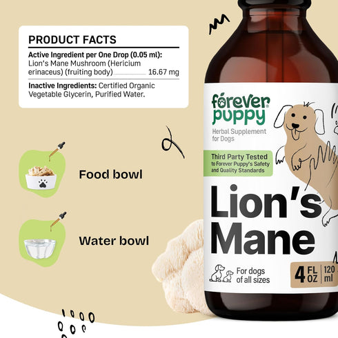 Lion's Mane Mushroom Supplement for Dogs, Liquid Drops for Brain Health, Vegan Vitamins for Focus - 4 oz