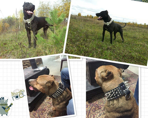 Pet Artist 2" Wide Luxury Genuine Leather Spiked Studded Dog Collars for Medium & Large Dogs, Black, XL