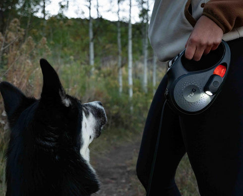 TUG Oval 360° Tangle-Free Retractable Dog Leash, Flashlight Included, Integrated Waste Bag Dispenser, Large