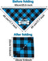 VIPITH Double Sided Cotton Dog Birthday Bandana Girl Boy, Washable Reversible Plaid Painting Dog Scarf Bibs for Small