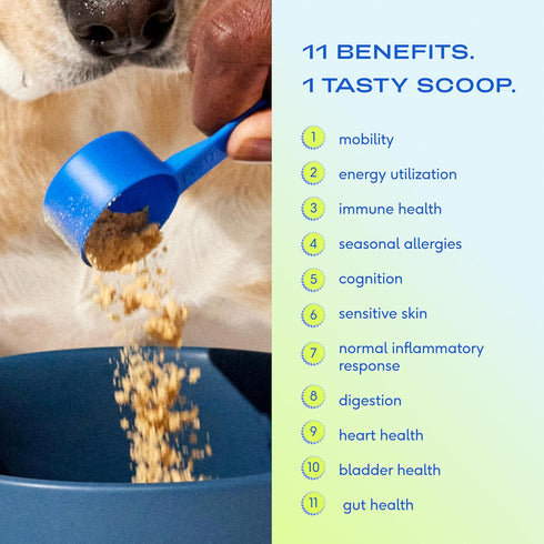 Native Pet The Daily Dog Supplement - 11 in 1 Multivitamin for Dog Health - 12 Active Ingredients, Tasty Scoop, Pet