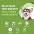 waggedy Daily Essentials Puppy — Full-Spectrum Functional Treats, Dog Supplements & Vitamins for Small or Large Breed