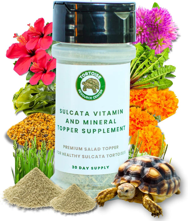 Sulcata Tortoise Calcium Powder - Herpetologist Formulated Calcium Powder for Reptiles with