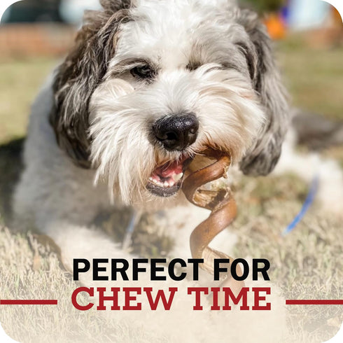 8"-12" Pack 1 lb Redbarn Pet Products All Natural Braided Bully Sticks for Medium & Large Dogs - Healthy Long Lasting
