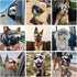 NAMSAN Dog Goggles, Anti-UV Sunglasses for Medium to Large Breeds, Windproof Eye Protection, Black