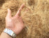 Coconut Fiber, 4.5oz Comfortable Bedding for Small Birds and Animals, Nest Material for Nest Building