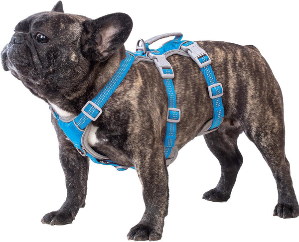 No Escape Dog Harness, Escape Proof Reflective Harness with Padded Handle, Adjustable Vest for Small Dogs