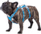 No Escape Dog Harness, Escape Proof Reflective Harness with Padded Handle, Adjustable Vest for Small Dogs