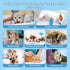 Vannon Extra Thick Pet Bathing Wipes for Dogs & Cats, Cleaning & Deodorizing, 4 Pack, 24 PCS