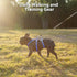 Escape Proof Harness | No Slip Dog Harness | Fully Reflective with Handle, Breathable, Adjustable Vest for Medium Dogs
