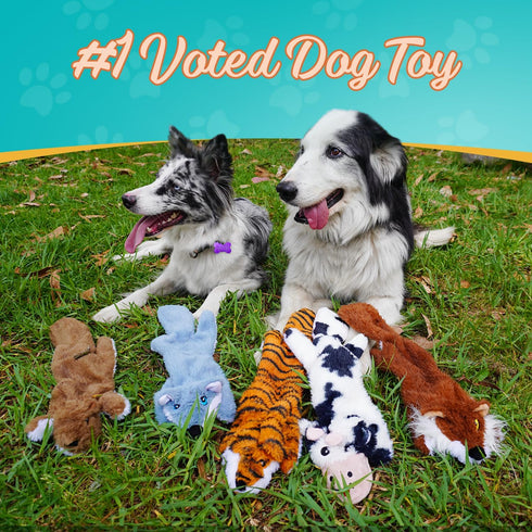 Chesk 5 Pack Squeaky & Crinkle Dog Toys - No Stuffing Plush Chews for Small Medium Large Breed Chewers