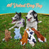 Chesk 5 Pack Squeaky & Crinkle Dog Toys - No Stuffing Plush Chews for Small Medium Large Breed Chewers