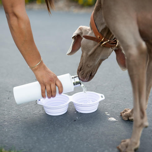 Pup Culture Dual Collapsible Dog Bowls | Portable Silicone Travel Water Bowl for Dogs | Food Grade, No Plastic Rim,