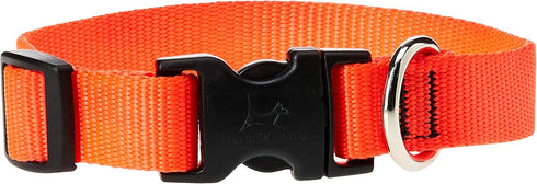LupinePet Basics Adjustable Collar – 3/4" Blaze Orange – 9-14" for Small Dogs
