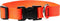 LupinePet Basics Adjustable Collar – 3/4" Blaze Orange – 9-14" for Small Dogs