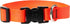 LupinePet Basics Adjustable Collar – 3/4" Blaze Orange – 9-14" for Small Dogs