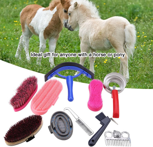 CDQL 10Pcs 5 Horse Grooming Kit - Horse Brushes Kit - Horse Grooming Body Brush Kit Includes Metal Long Handle Comb
