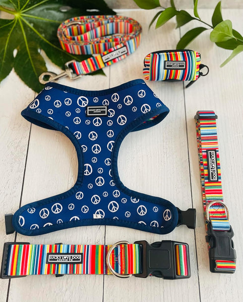Lucky Love Dog Combo Set, Rainbow Collar & Leash Set for Small Dogs, Colorful Matching Set for Girl or Boy Dogs