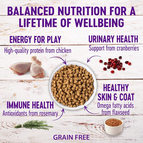 Wellness Natural Pet Food Complete Health Natural Grain Free Deboned Chicken & Chicken Meal Dry Kitten Food, 5.5 Pound Bag