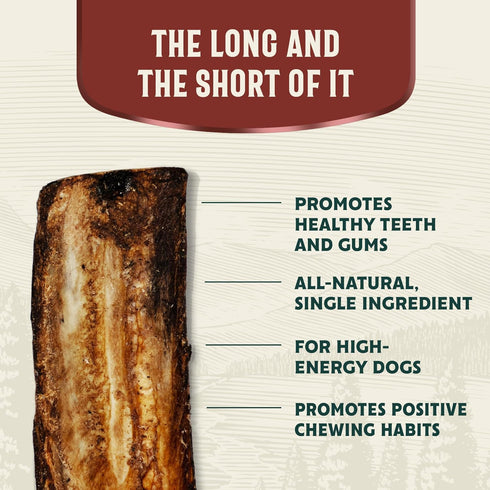 Hank & Roy Beef Rib Bones, 8-10" - 10 Pack, All-Natural, Long-Lasting Chews for Aggressive Chewers